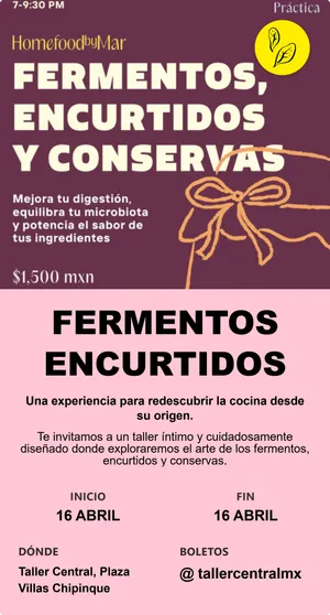 FERMENTOS ENCURTIDOS