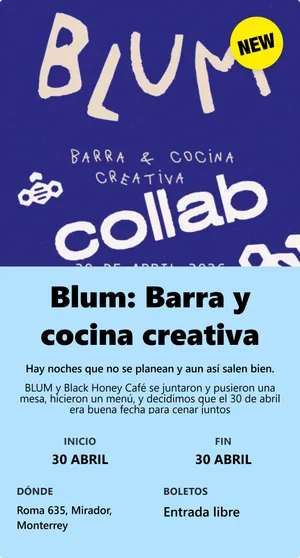 Blum: Barra y cocina creativa