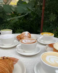 Infografía. En tendencia: restaurantes dentro de viveros o rodeados de muchas plantas. ¿Existen en NL? Sí. Aquí 7 opciones en MTY y SPG