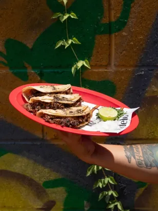 Un mexicano consume en promedio 20 kilos de limón al año. Aquí te contamos la historia de cómo se volvió producto indispensable en nuestras taquerías — Gastronomía en Monterrey, Nuevo León